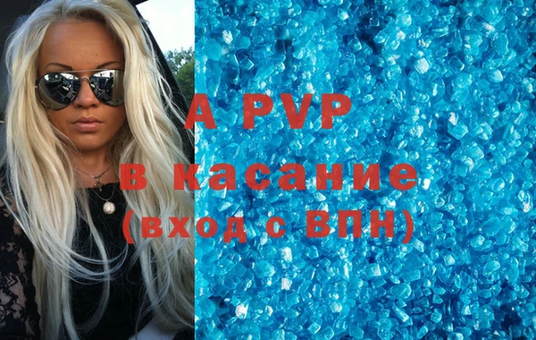 ГАЛЛЮЦИНОГЕННЫЕ ГРИБЫ Богданович