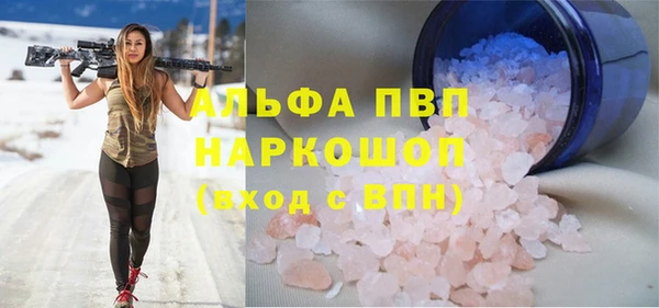ГАЛЛЮЦИНОГЕННЫЕ ГРИБЫ Богданович