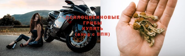 твердый Богородск