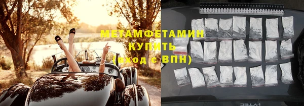 ГАЛЛЮЦИНОГЕННЫЕ ГРИБЫ Богданович