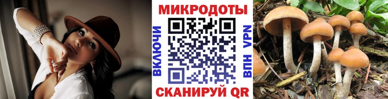 блэк спрут как зайти Белебей Галлюциногенные грибы Psilocybe купить наркотики сайты